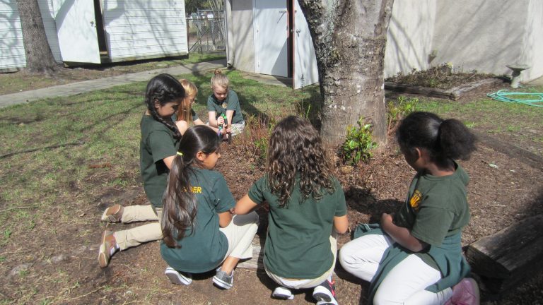 Students of RLA Planting and Sitting Near a Big Tree
